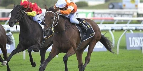 sydney cup tips|Sydney Cup Tips, Betting Odds, Past Winners and Results.